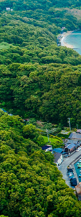 採用情報